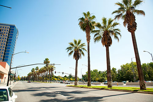 moving cars san jose